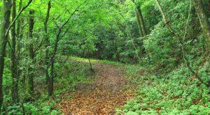 best hiking places in Kathmandu