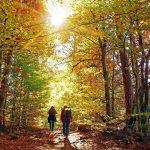 best hiking places in Kathmandu