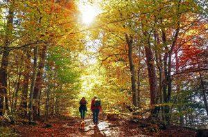 best hiking places in Kathmandu