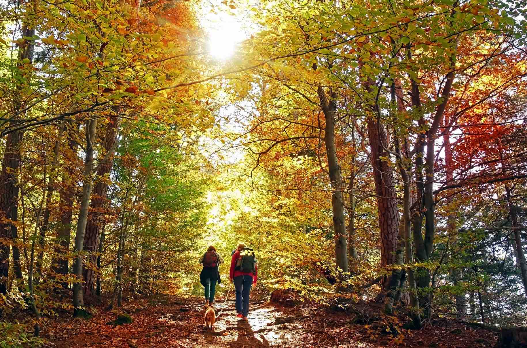 best hiking places in Kathmandu