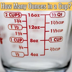 What is an Ounce